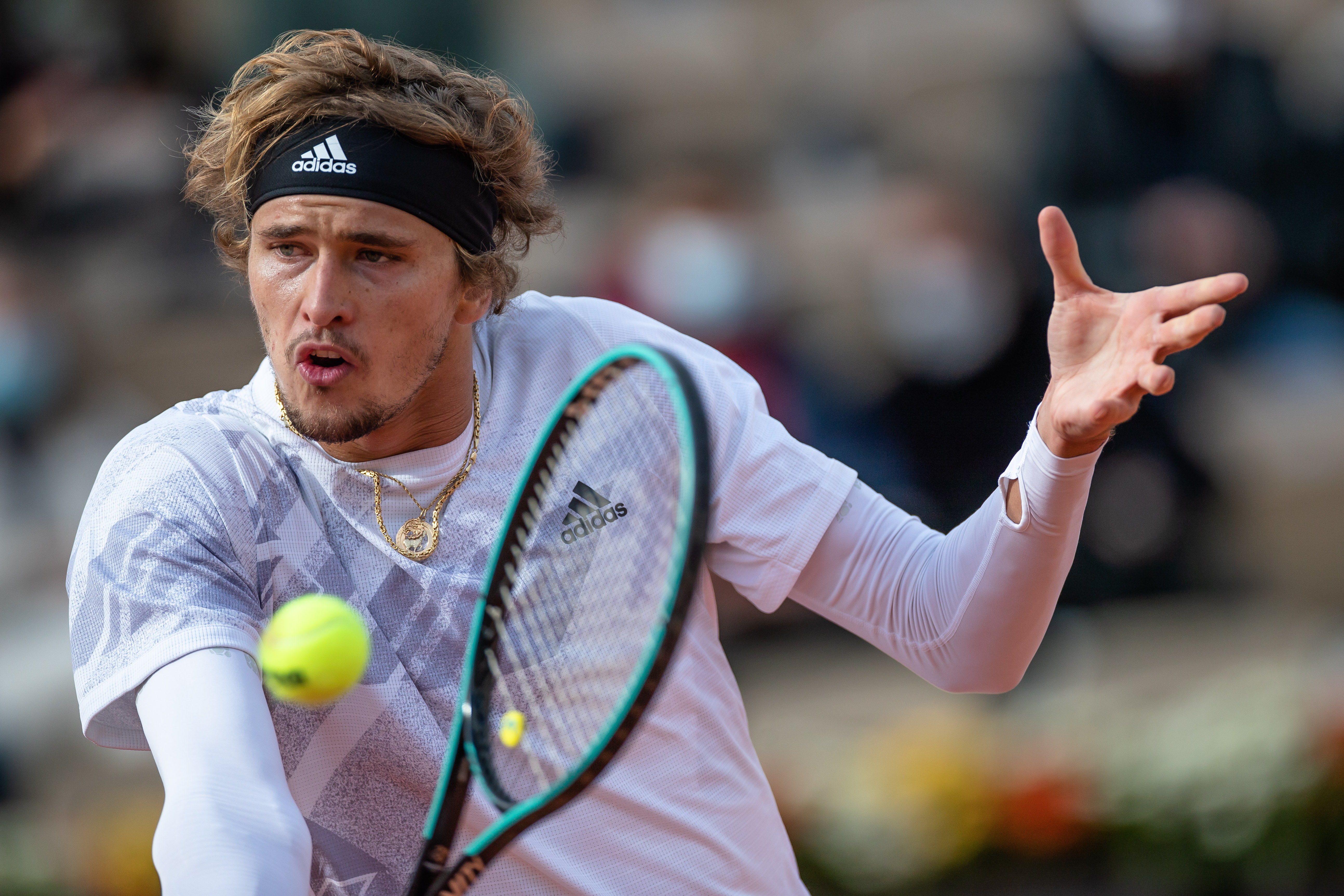 火腿军的 火腿军的